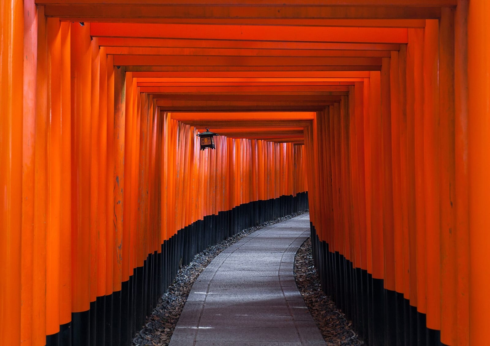 Rows of vermilion torii gates climbing a wooded hillside at Fushimi Inari, Kyoto