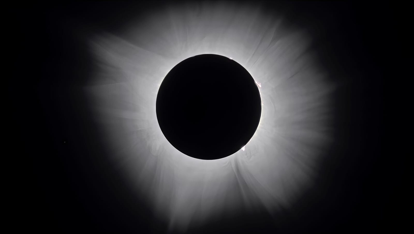 The sun's corona blazing in pale streamers around the moon during totality