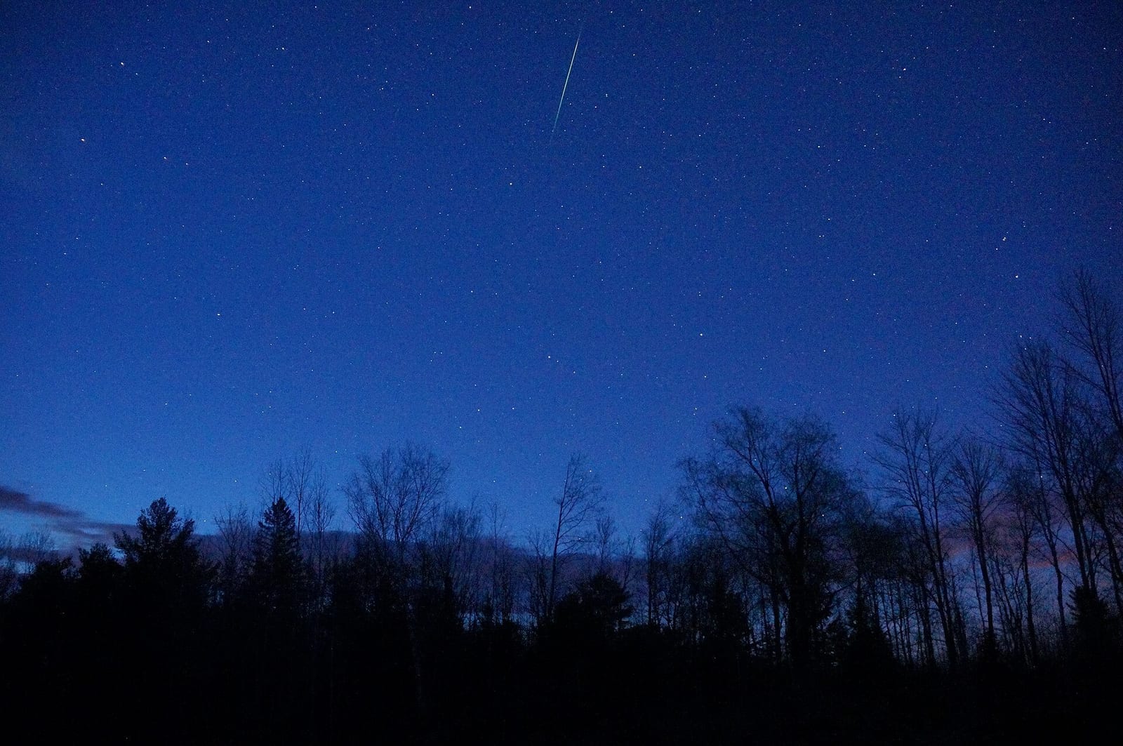 A lone Eta Aquariid meteor cuts through a deep blue pre-dawn sky above silhouetted trees