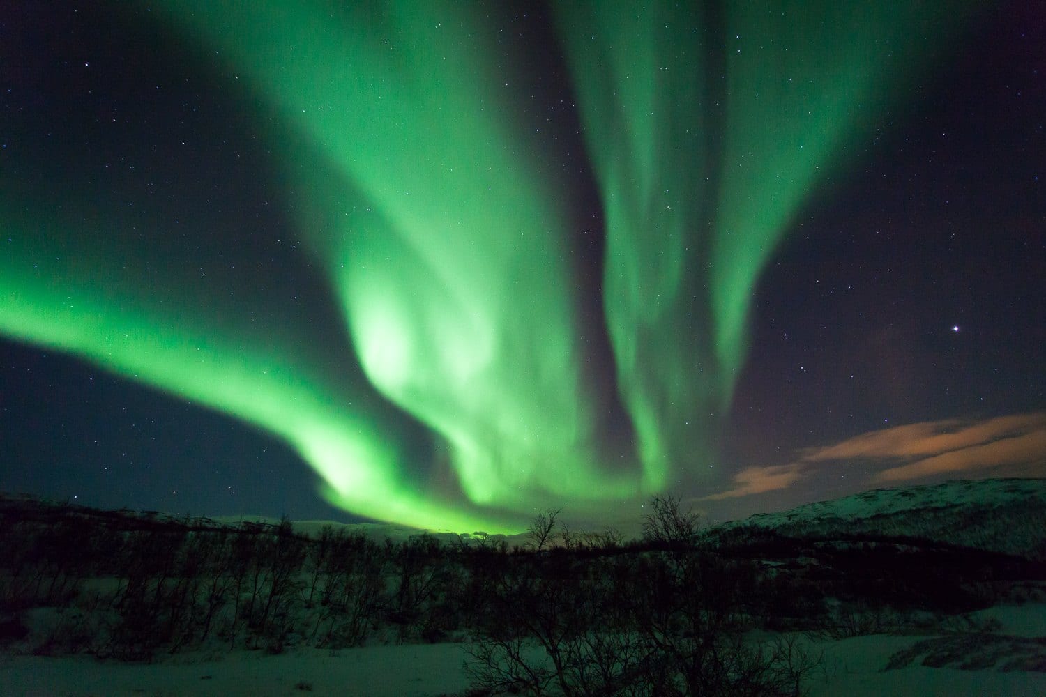 Green and violet aurora curtains ripple over the fjord near Tromso, Norway